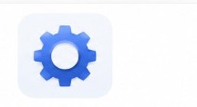 Custom software service